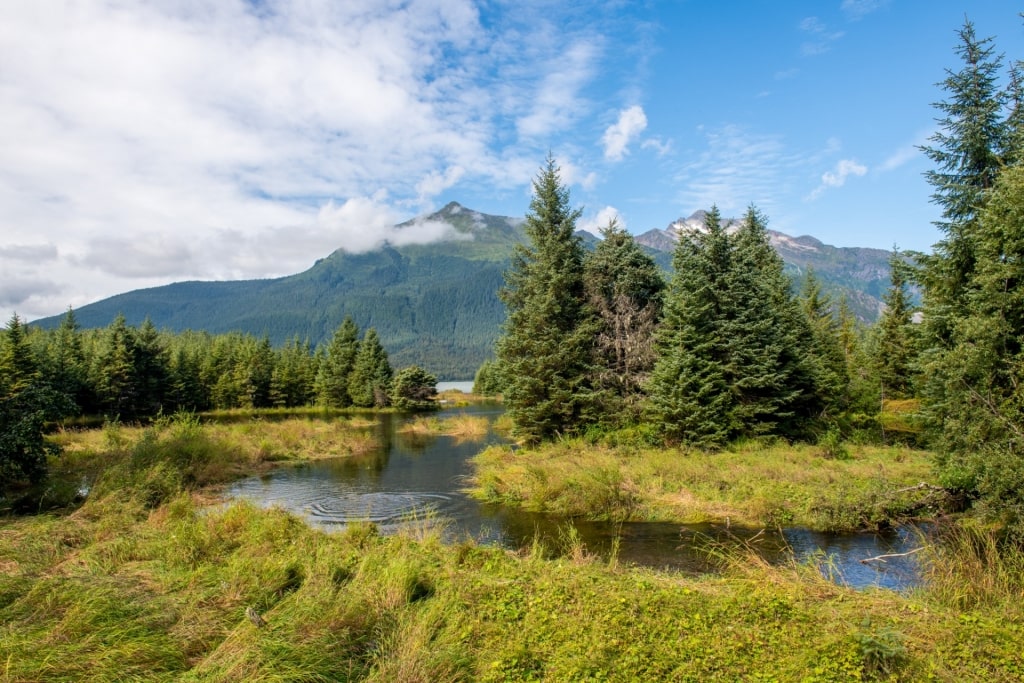 Beautiful landscape in Mendenhall Glacier Visitor Center