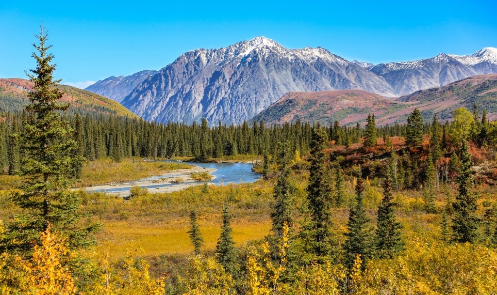 Beautiful landscape of Denali National Park, Alaska in September