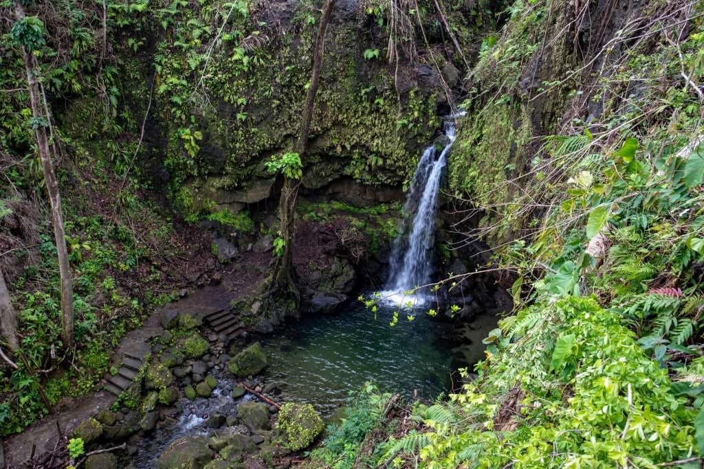 Aerial view of Emerald Pool, Dominica