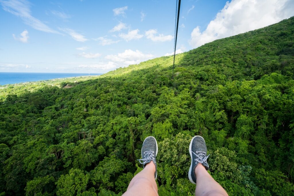 Person zip-lining in Wingfield Estate, St. Kitts & Nevis