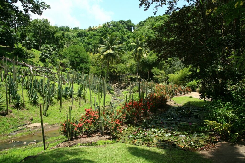 Lush landscape of Habitation Latouche, Martinique
