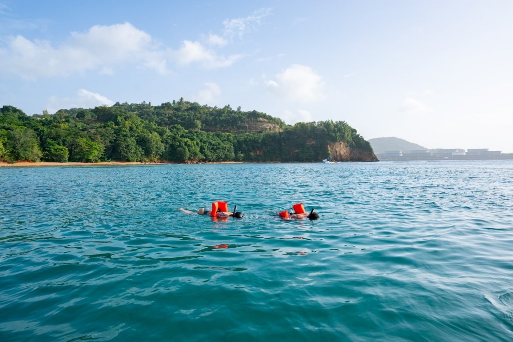 People snorkeling in St. Lucia