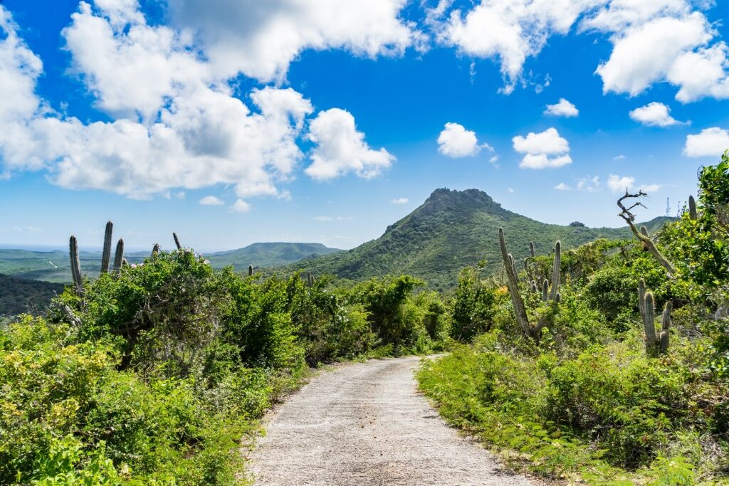 Lush landscape of Christoffel National Park, Curaçao