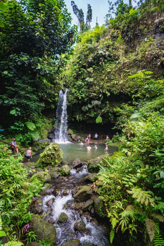 View of Emerald Pool, Dominica