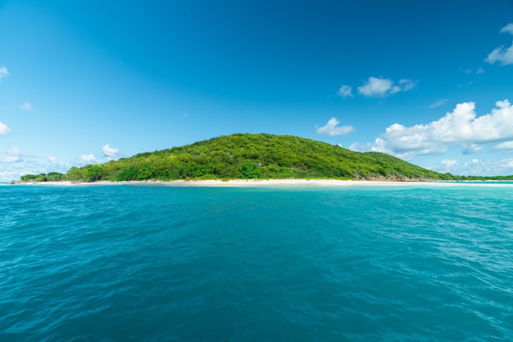 View of Buck Island, USVI from the water