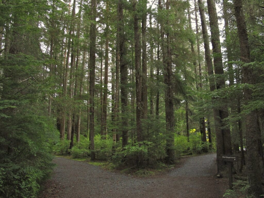 Trail view of Sitka National Historical Park