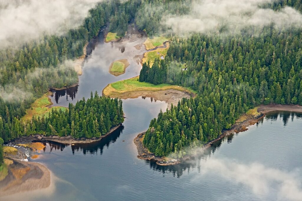 Misty view of Tongass National Forest