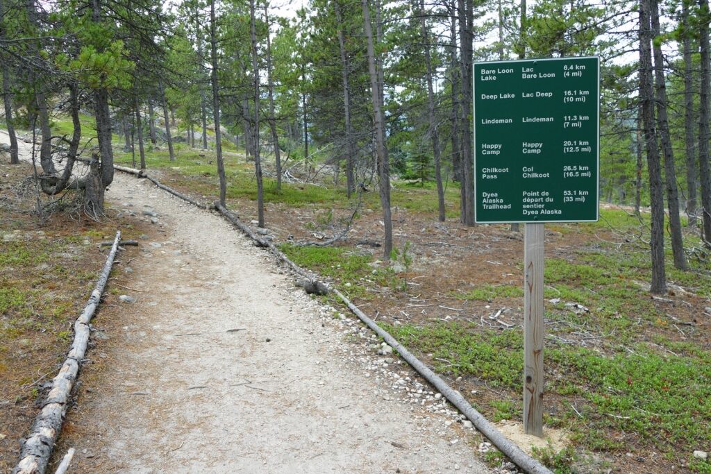 Pathway in Chilkoot Trail, Skagway