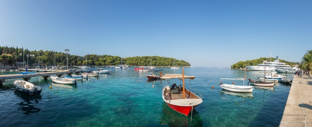 Boats surrounding Cavtat's waterfront