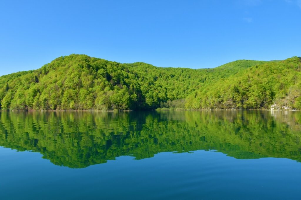 Beautiful greenery of Lake Kozjak, Plitvice Lakes National Park