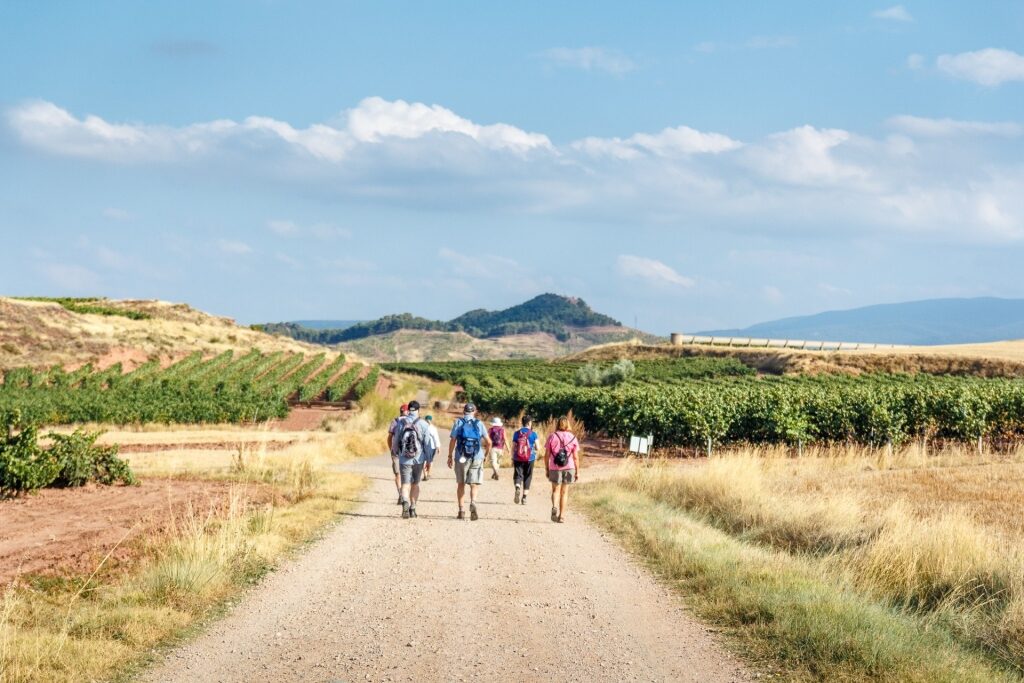 People walking along Camino de Santiago, Rioja Wine Region
