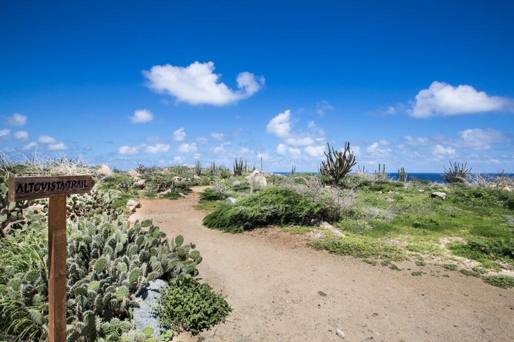 View of Alto Vista Trail in Aruba