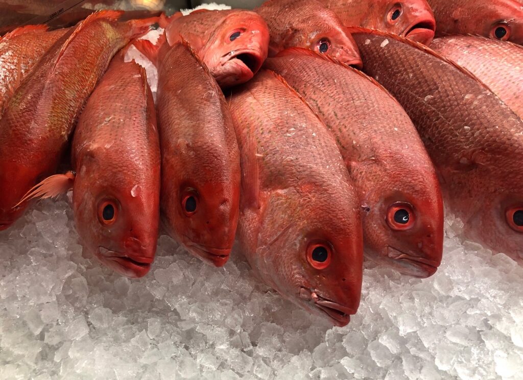 Red snapper at a market in the Caribbean