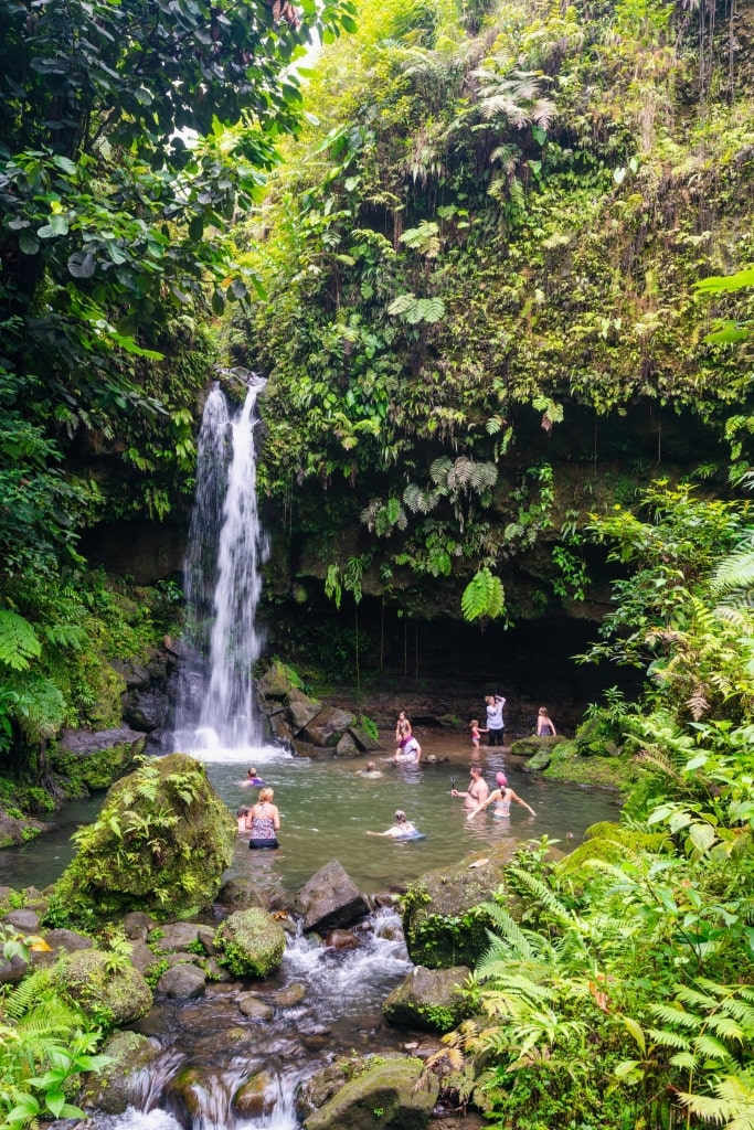 People swimming in Emerald Pool, Dominica