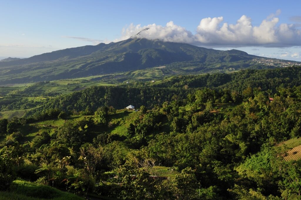 Lush landscape of Mount Pelée, Martinique