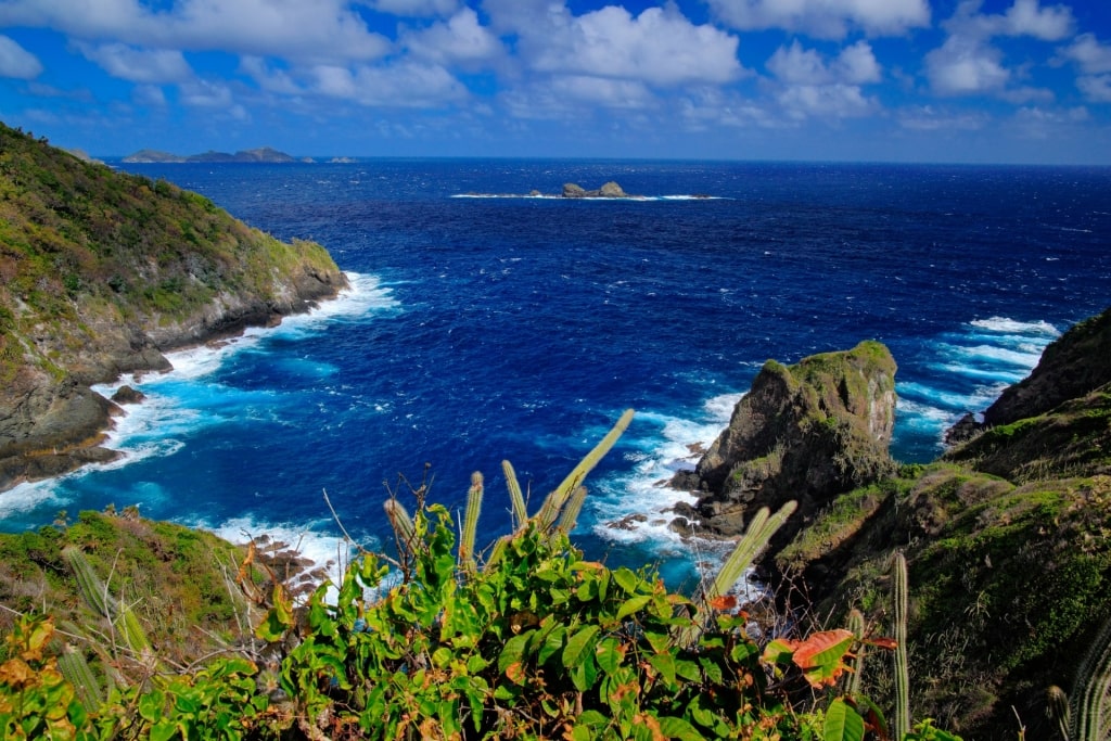 Coastline of Little Tobago Island, Tobago