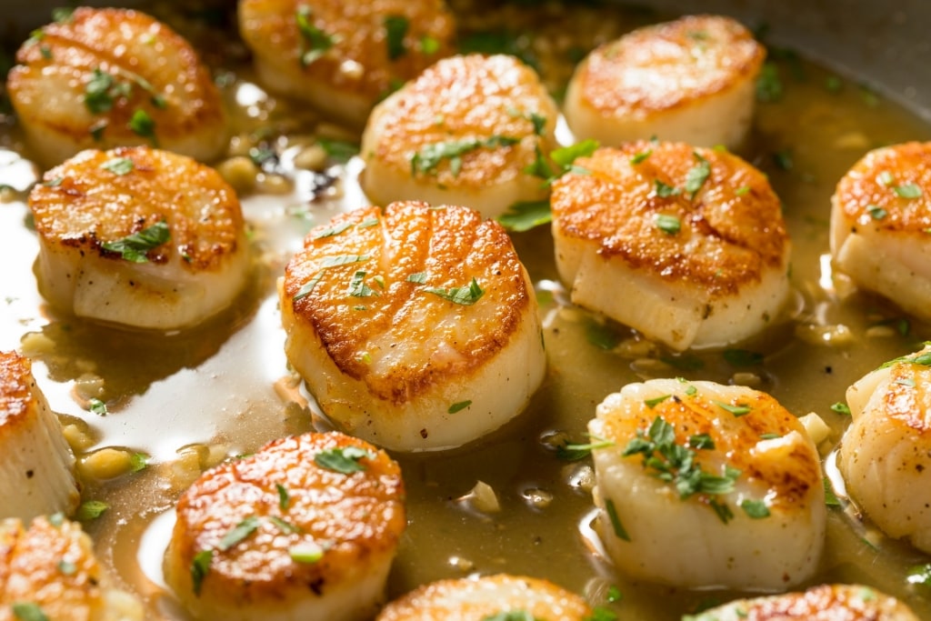 Seafood in Alaska - scallops