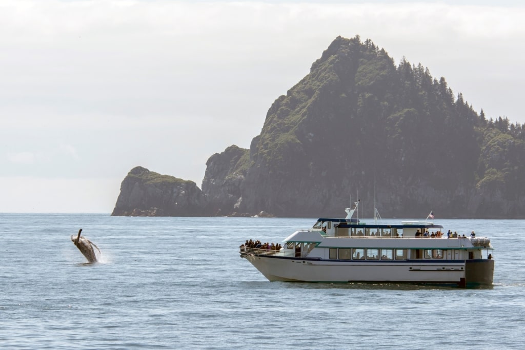 Whale watching tour in Kenai Fjords National Park