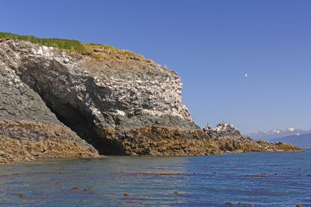 Rocky cliffs surrounding Kachemak Bay, near Homer