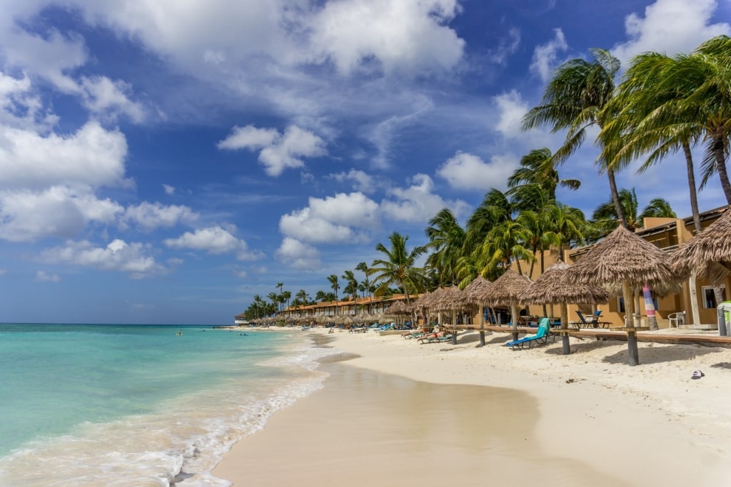 Fine sands of Druif Beach