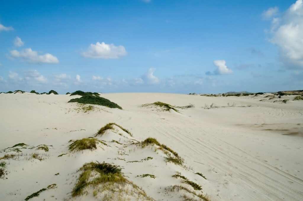 Fine sands of Sasariwichi Dunes