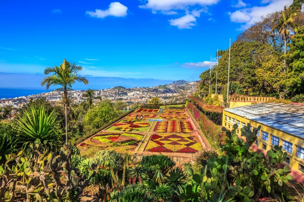 Colorful landscape of Madeira Botanical Gardens