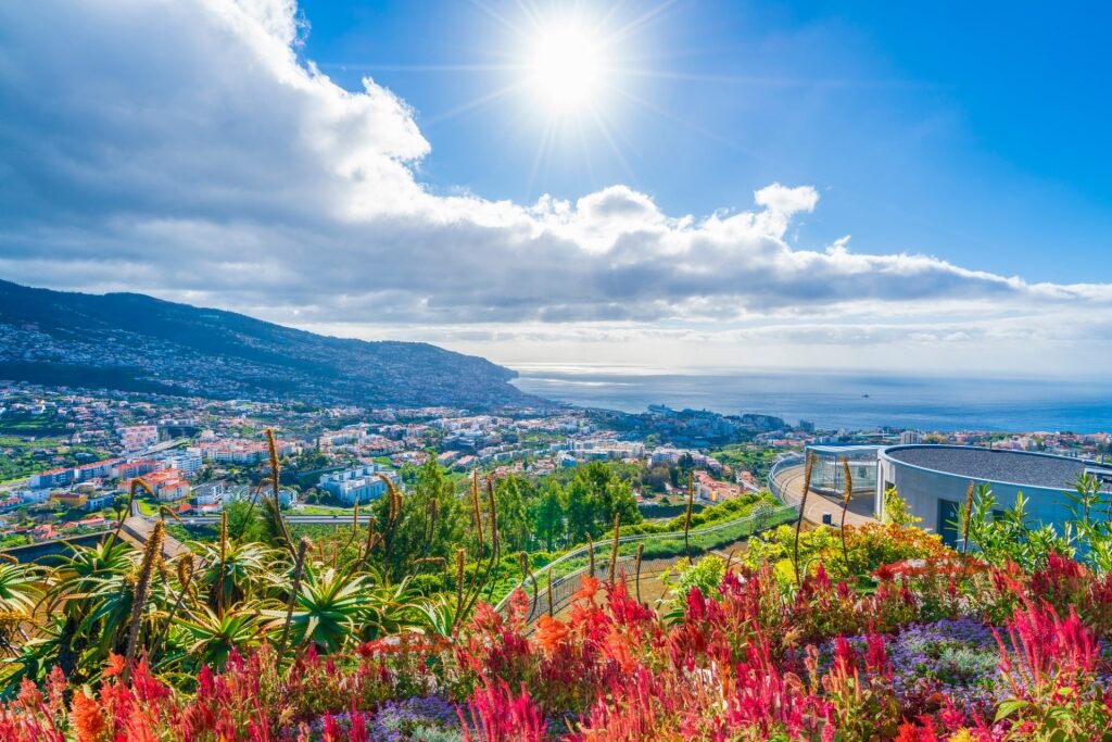 View from Pico dos Barcelos, Madeira