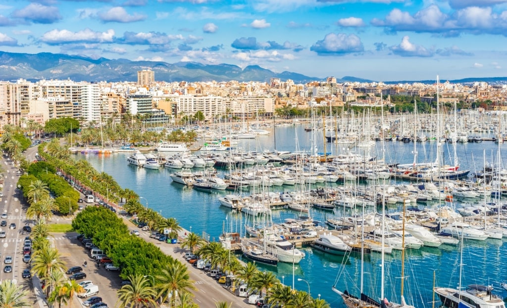 Boats within the port of Palma de Mallorca