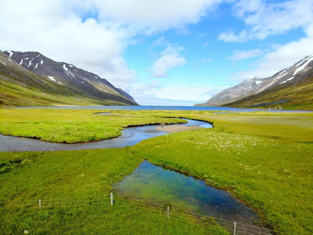 Greenery surrounding Héðinsfjörður