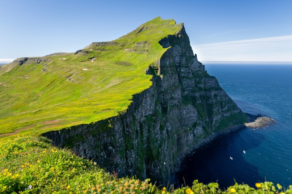 Cliffside view of Hornstrandir Nature Reserve, Iceland