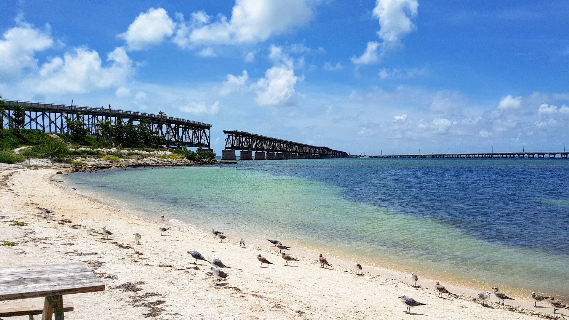 11 Best Places to Go Snorkeling in Key West Celebrity Cruises