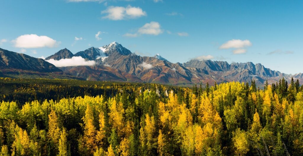 View of Chugach National Forest in the fall
