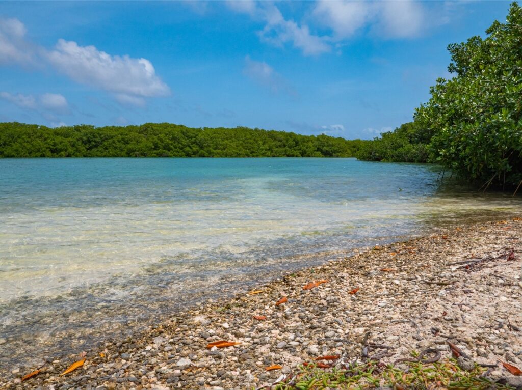 Scenic view of Lac Bay National Park, Bonaire