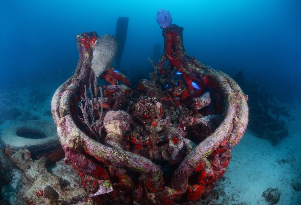 View of the Antilla Shipwreck, Aruba