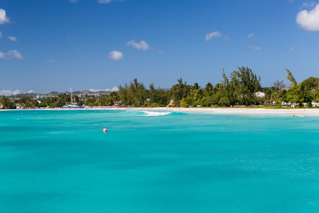 Turquoise waters of Carlisle Bay, Barbados