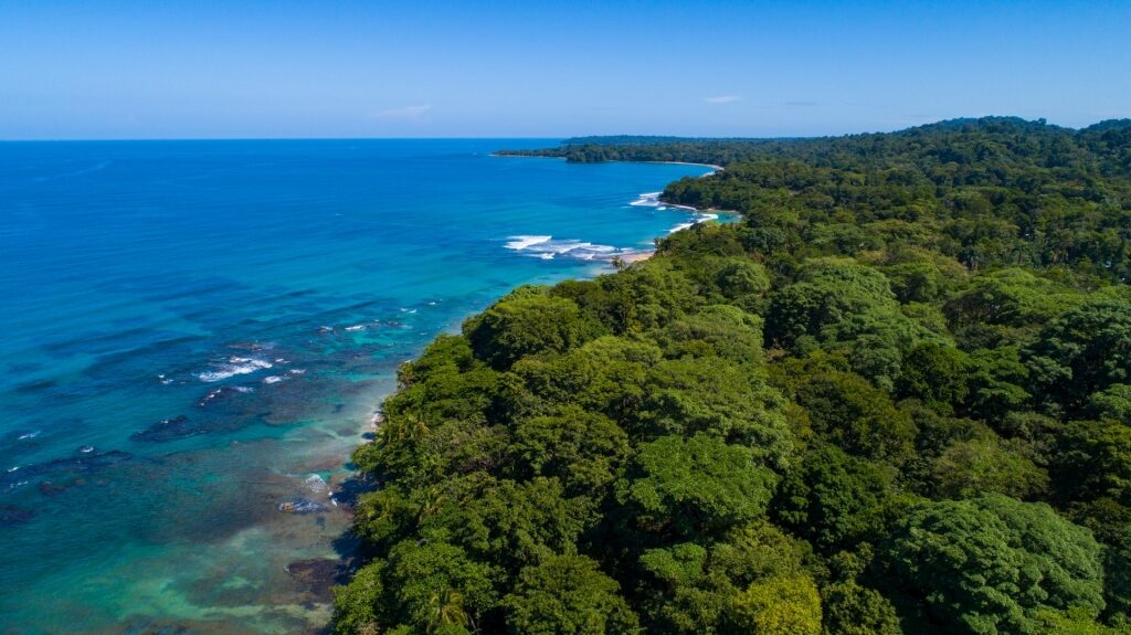 Lush landscape surrounding Playa Punta Uva in Puerto Limon, Costa Rica