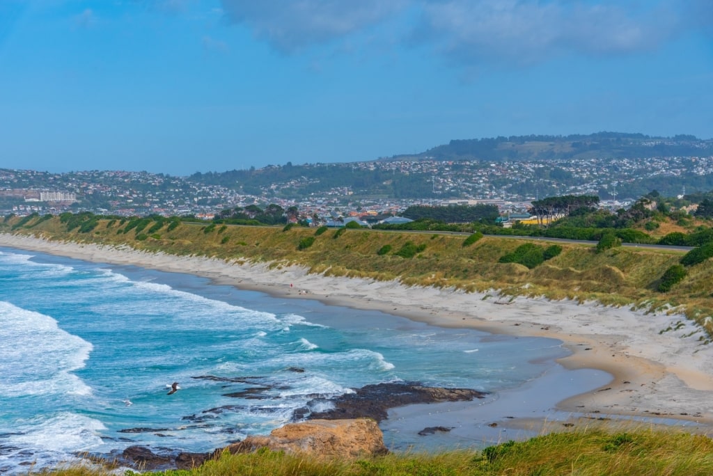 Quiet beach of St. Clair & St. Kilda beaches in Dunedin, New Zealand