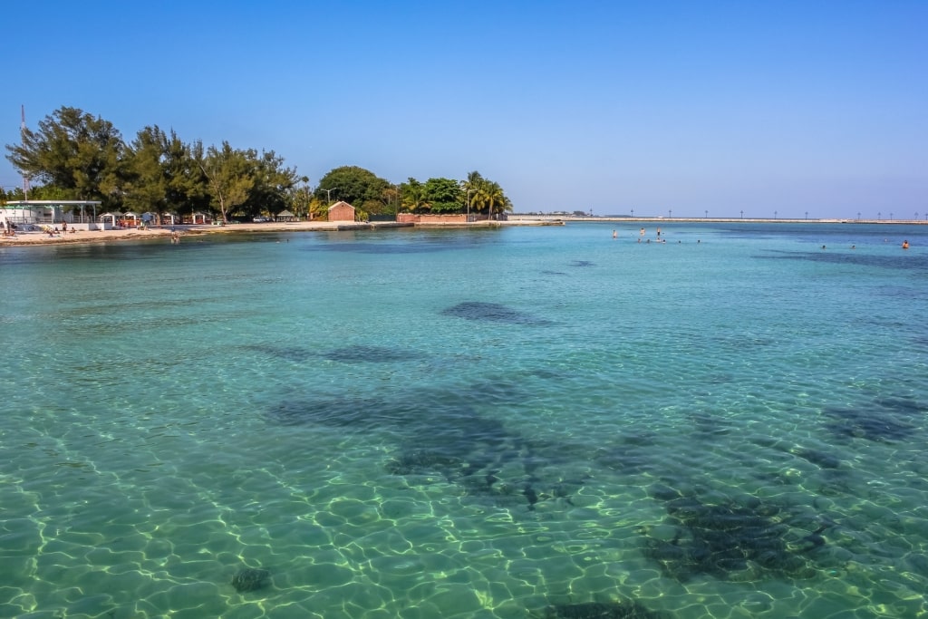 Clear waters of Higgs Beach