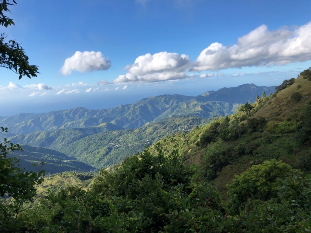 Lush landscape of Blue and John Crow Mountains National Park, Jamaica