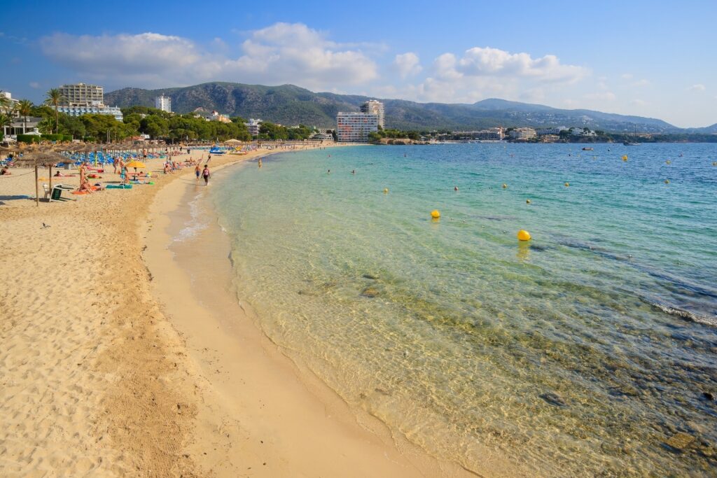 Golden sands of Palmanova Beach, Mallorca