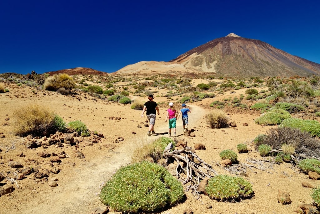 Family hiking Teide National Park in Tenerife, Canary Islands