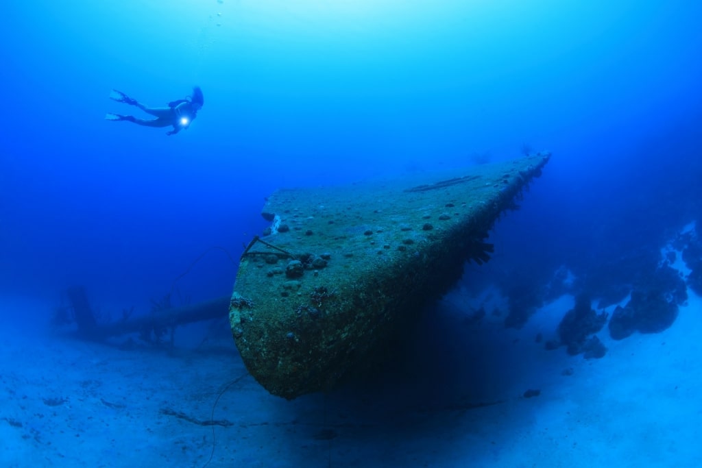 Best diving in Bonaire - Hilma Hooker