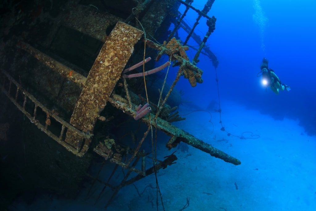 Best diving in Bonaire - Hilma Hooker