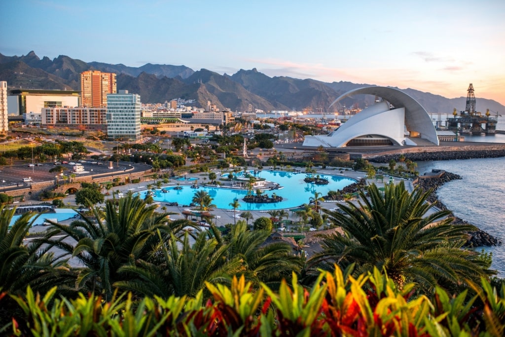 Beautiful landscape of Santa Cruz de Tenerife