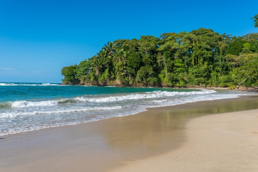 Fine sands of a beach in Punta Uva, Costa Rica