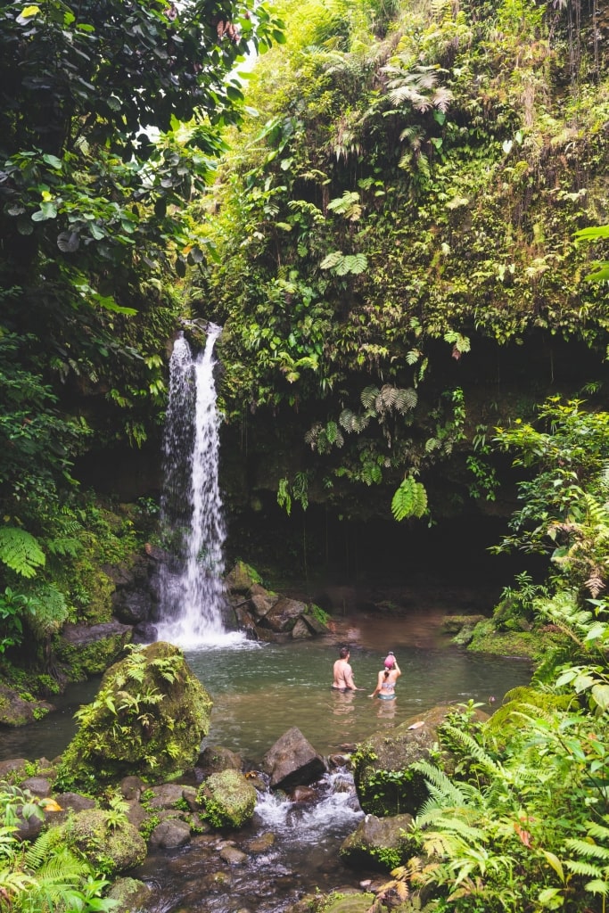 Lush Emerald Pool in Dominica