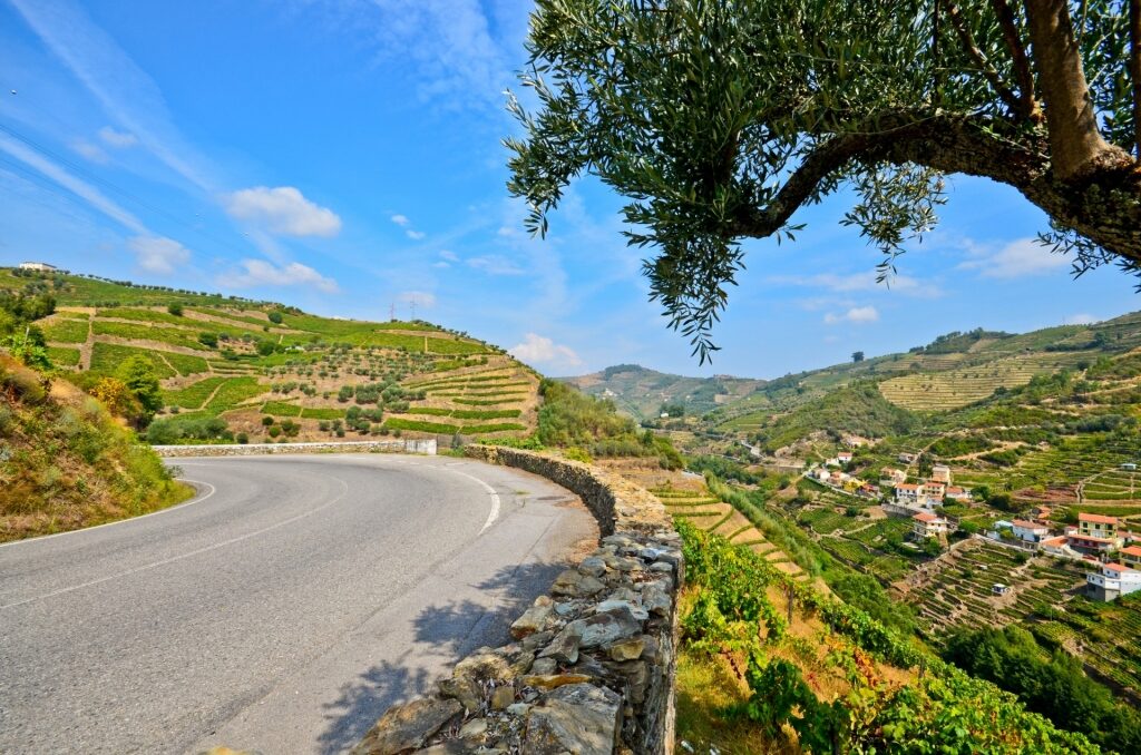 View while driving along Douro Valley, Portugal