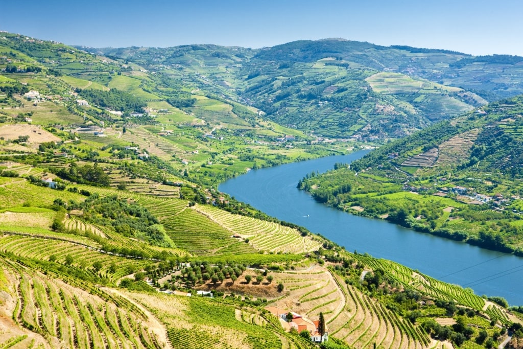 Beautiful landscape of Douro Valley, Portugal