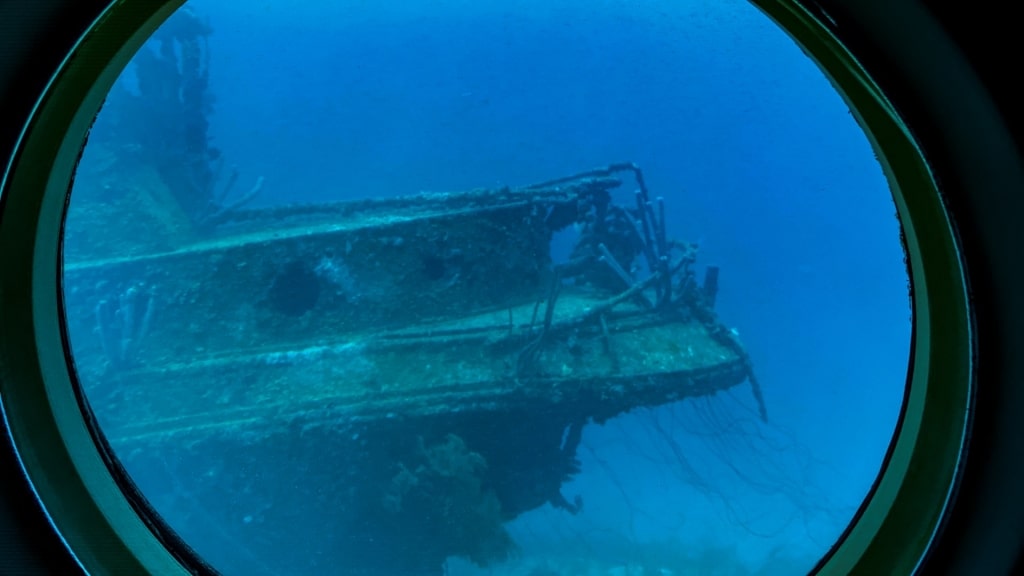 View from the Atlantis Submarine