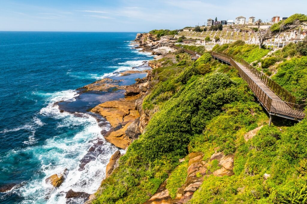 Shoreline of Bondi to Coogee Walk in Sydney, Australia